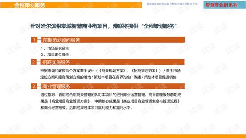 智慧商業(yè)街招商運(yùn)營(yíng)及物業(yè)管理綜合解決方案.ppt